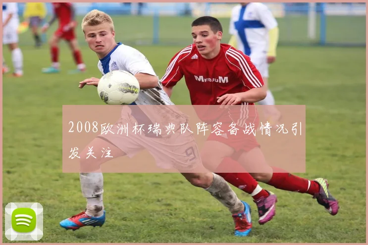 2008欧洲杯瑞典队阵容备战情况引发关注
